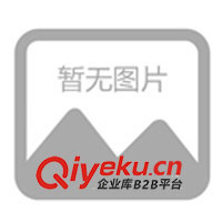 供應(yīng)T恤衫 批發(fā)檔口T恤 100件起批 來版訂做